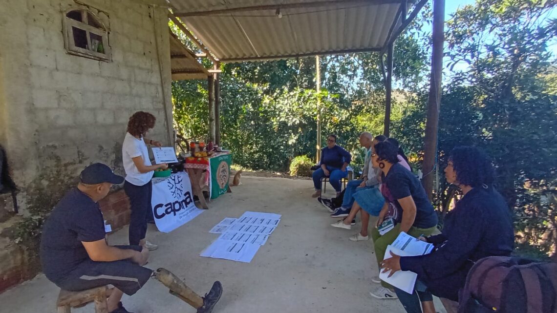 Capina - Cartilha PGPA (2)